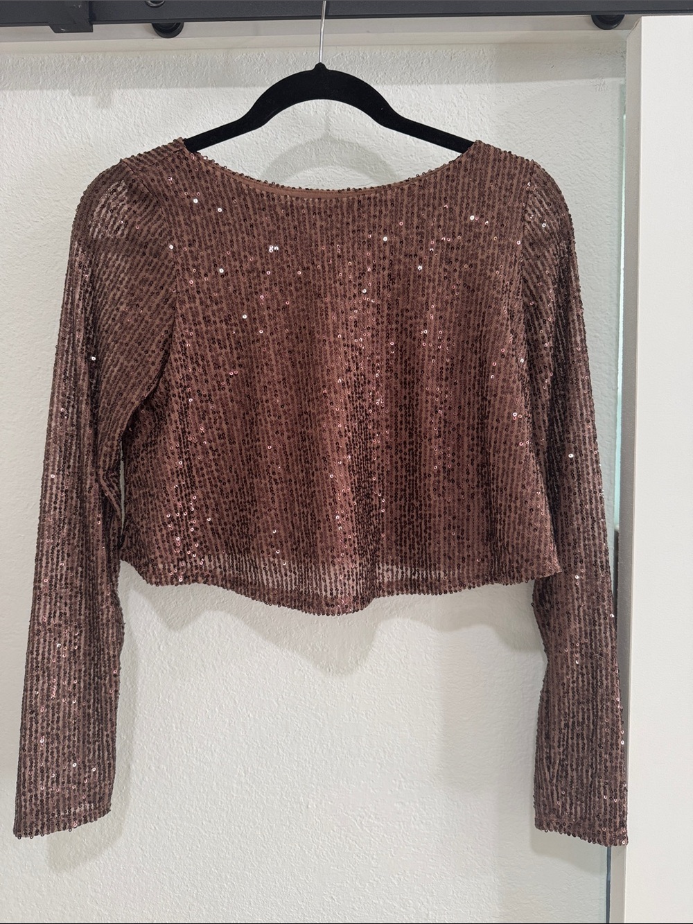 Sequin Ribbed Long-Sleeve Crop Top - Brown